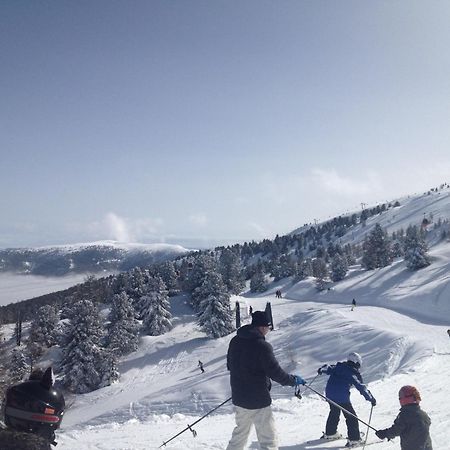 Woody Park Chalet 14 Kaindorf  Екстериор снимка